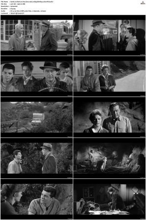 Panic in Year Zero 1962 1080p BluRay x264-nikt0