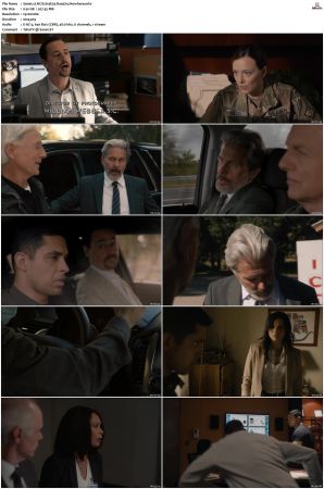 NCIS S19 1080p AMZN WEB-DL x265 HEVC DDP 5 1-PHOCiS