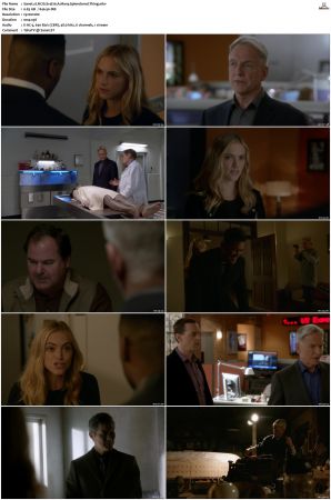 NCIS S14 1080p AMZN WEB-DL x265 HEVC DDP 5 1-PHOCiS