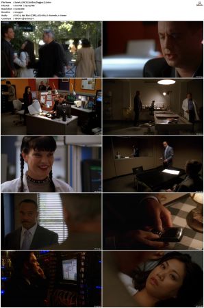 NCIS S06 1080p AMZN WEB-DL x265 HEVC DDP 5 1-PHOCiS