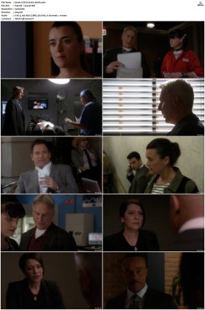 NCIS S10 1080p AMZN WEB-DL x265 HEVC DDP 5 1-PHOCiS