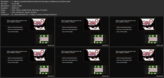 Business Partnership Structure