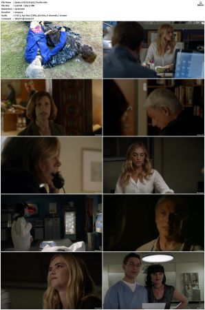 NCIS S15 1080p AMZN WEB-DL x265 HEVC DDP 5 1-PHOCiS