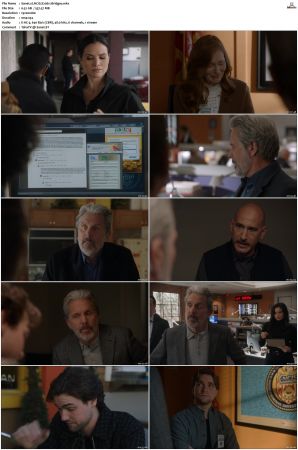 NCIS S20 1080p AMZN WEB-DL x265 HEVC DDP 5 1-PHOCiS
