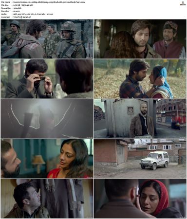 Haider 2014 1080p 10bit Bluray x265 Hindi AAC 5.1 Esub-BlacK PearL