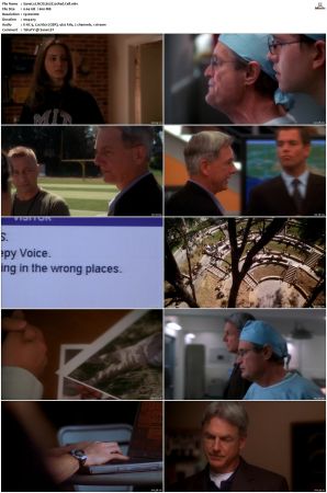 NCIS S02 1080p AMZN WEB-DL x265 HEVC DDP 5 1-PHOCiS