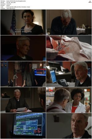 NCIS S17 1080p AMZN WEB-DL x265 HEVC DDP 5 1-PHOCiS
