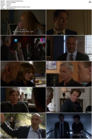 NCIS S13 1080p AMZN WEB-DL x265 HEVC DDP 5 1-PHOCiS