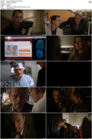 NCIS S08 1080p AMZN WEB-DL x265 HEVC DDP 5 1-PHOCiS