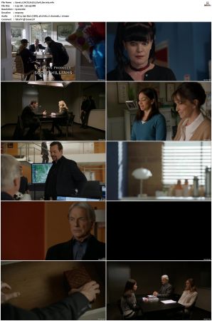 NCIS S15 1080p AMZN WEB-DL x265 HEVC DDP 5 1-PHOCiS