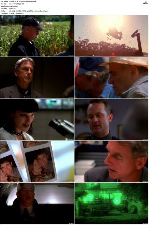 NCIS S02 1080p AMZN WEB-DL x265 HEVC DDP 5 1-PHOCiS