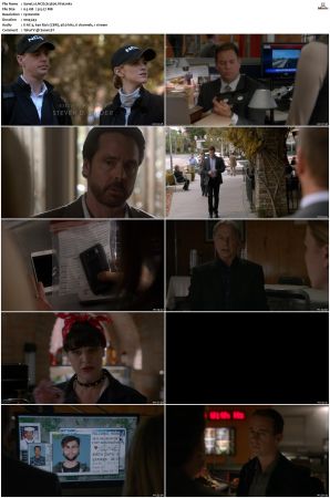 NCIS S13 1080p AMZN WEB-DL x265 HEVC DDP 5 1-PHOCiS
