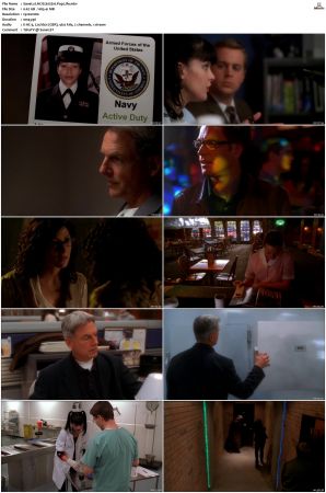 NCIS S02 1080p AMZN WEB-DL x265 HEVC DDP 5 1-PHOCiS