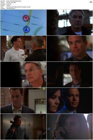 NCIS S05 1080p AMZN WEB-DL x265 HEVC DDP 5 1-PHOCiS
