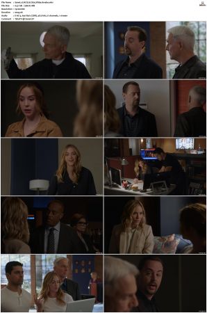 NCIS S17 1080p AMZN WEB-DL x265 HEVC DDP 5 1-PHOCiS