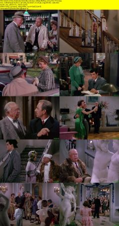 Has Anybody Seen My Gal 1952 1080p BluRay x264 AAC-YTS