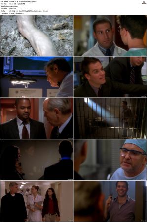 NCIS S03 1080p AMZN WEB-DL x265 HEVC DDP 5 1-PHOCiS