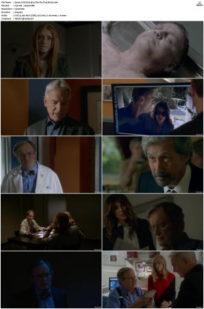 NCIS S14 1080p AMZN WEB-DL x265 HEVC DDP 5 1-PHOCiS