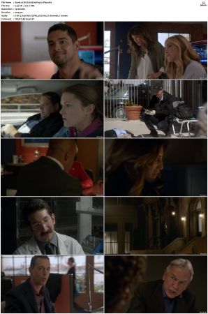 NCIS S14 1080p AMZN WEB-DL x265 HEVC DDP 5 1-PHOCiS