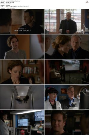 NCIS S13 1080p AMZN WEB-DL x265 HEVC DDP 5 1-PHOCiS