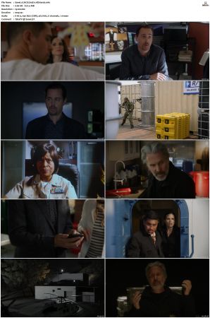 NCIS S19 1080p AMZN WEB-DL x265 HEVC DDP 5 1-PHOCiS