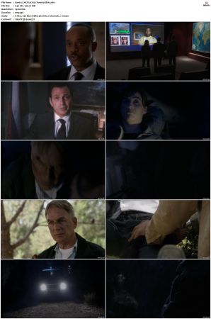 NCIS S12 1080p AMZN WEB-DL x265 HEVC DDP 5 1-PHOCiS