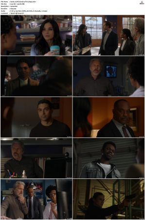 NCIS S19 1080p AMZN WEB-DL x265 HEVC DDP 5 1-PHOCiS