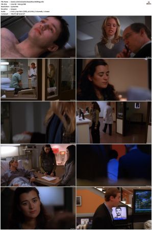 NCIS S04 1080p AMZN WEB-DL x265 HEVC DDP 5 1-PHOCiS