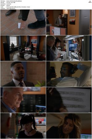 NCIS S14 1080p AMZN WEB-DL x265 HEVC DDP 5 1-PHOCiS