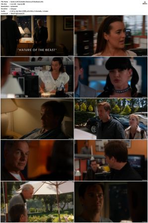 NCIS S09 1080p AMZN WEB-DL x265 HEVC DDP 5 1-PHOCiS