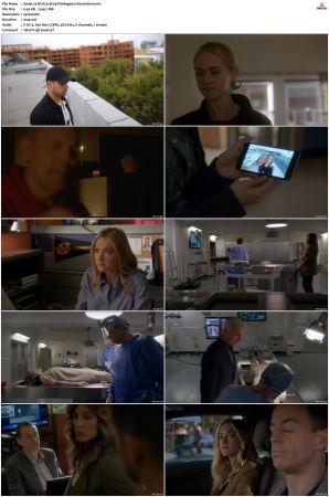 NCIS S14 1080p AMZN WEB-DL x265 HEVC DDP 5 1-PHOCiS