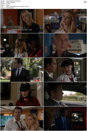 NCIS S13 1080p AMZN WEB-DL x265 HEVC DDP 5 1-PHOCiS