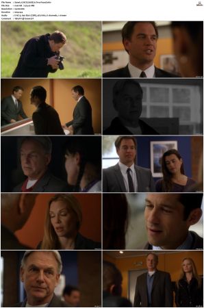 NCIS S08 1080p AMZN WEB-DL x265 HEVC DDP 5 1-PHOCiS