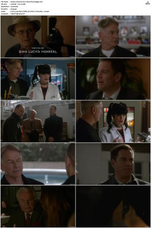 NCIS S12 1080p AMZN WEB-DL x265 HEVC DDP 5 1-PHOCiS