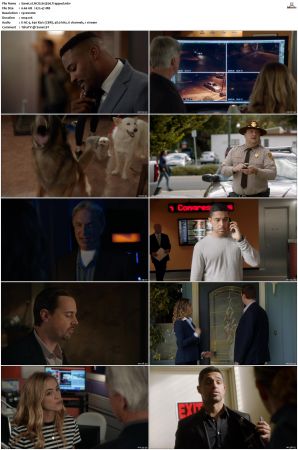 NCIS S15 1080p AMZN WEB-DL x265 HEVC DDP 5 1-PHOCiS