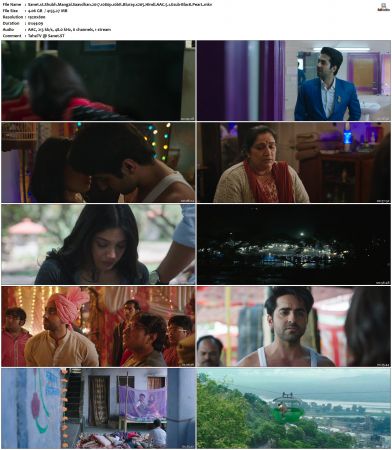 Shubh Mangal Saavdhan 2017 1080p 10bit Bluray x265 Hindi AAC 5.1 Esub-BlacK PearL