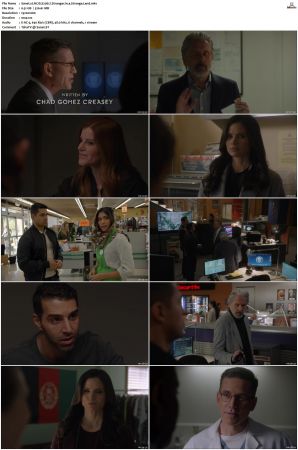 NCIS S20 1080p AMZN WEB-DL x265 HEVC DDP 5 1-PHOCiS