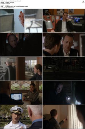 NCIS S13 1080p AMZN WEB-DL x265 HEVC DDP 5 1-PHOCiS
