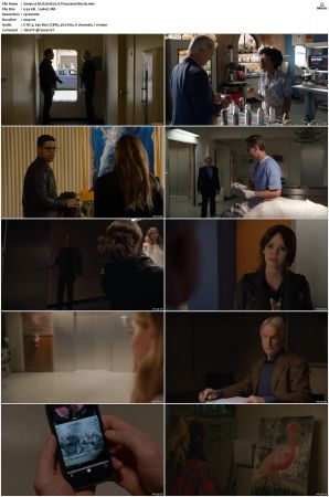 NCIS S16 1080p AMZN WEB-DL x265 HEVC DDP 5 1-PHOCiS