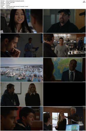 NCIS S16 1080p AMZN WEB-DL x265 HEVC DDP 5 1-PHOCiS