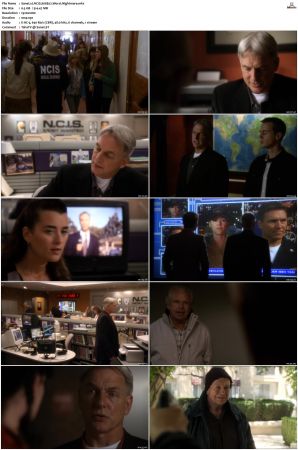 NCIS S08 1080p AMZN WEB-DL x265 HEVC DDP 5 1-PHOCiS