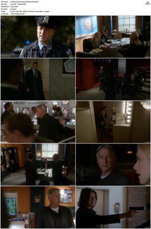 NCIS S12 1080p AMZN WEB-DL x265 HEVC DDP 5 1-PHOCiS