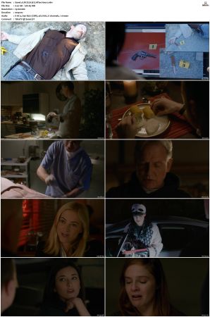 NCIS S13 1080p AMZN WEB-DL x265 HEVC DDP 5 1-PHOCiS