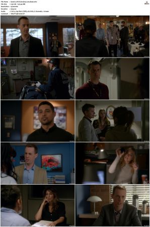 NCIS S14 1080p AMZN WEB-DL x265 HEVC DDP 5 1-PHOCiS