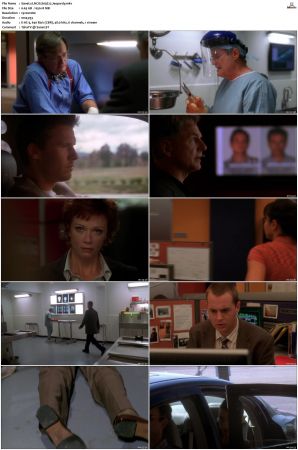 NCIS S03 1080p AMZN WEB-DL x265 HEVC DDP 5 1-PHOCiS
