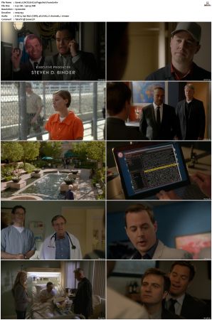 NCIS S11 1080p AMZN WEB-DL x265 HEVC DDP 5 1-PHOCiS