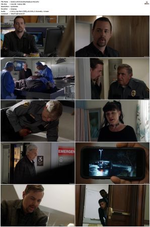 NCIS S15 1080p AMZN WEB-DL x265 HEVC DDP 5 1-PHOCiS