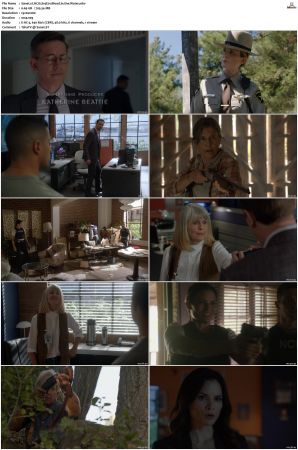 NCIS S19 1080p AMZN WEB-DL x265 HEVC DDP 5 1-PHOCiS