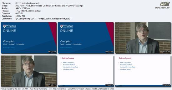 Coursera - Business Strategies for A Better World Specialization