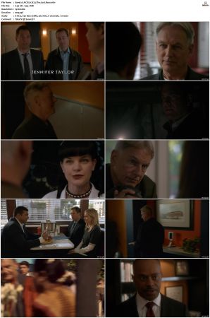 NCIS S12 1080p AMZN WEB-DL x265 HEVC DDP 5 1-PHOCiS